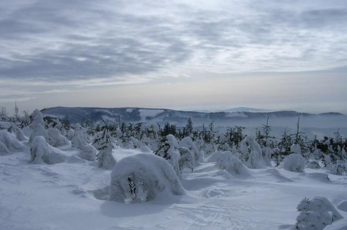 Park Krajobrazowy Beskidu Śląskiego